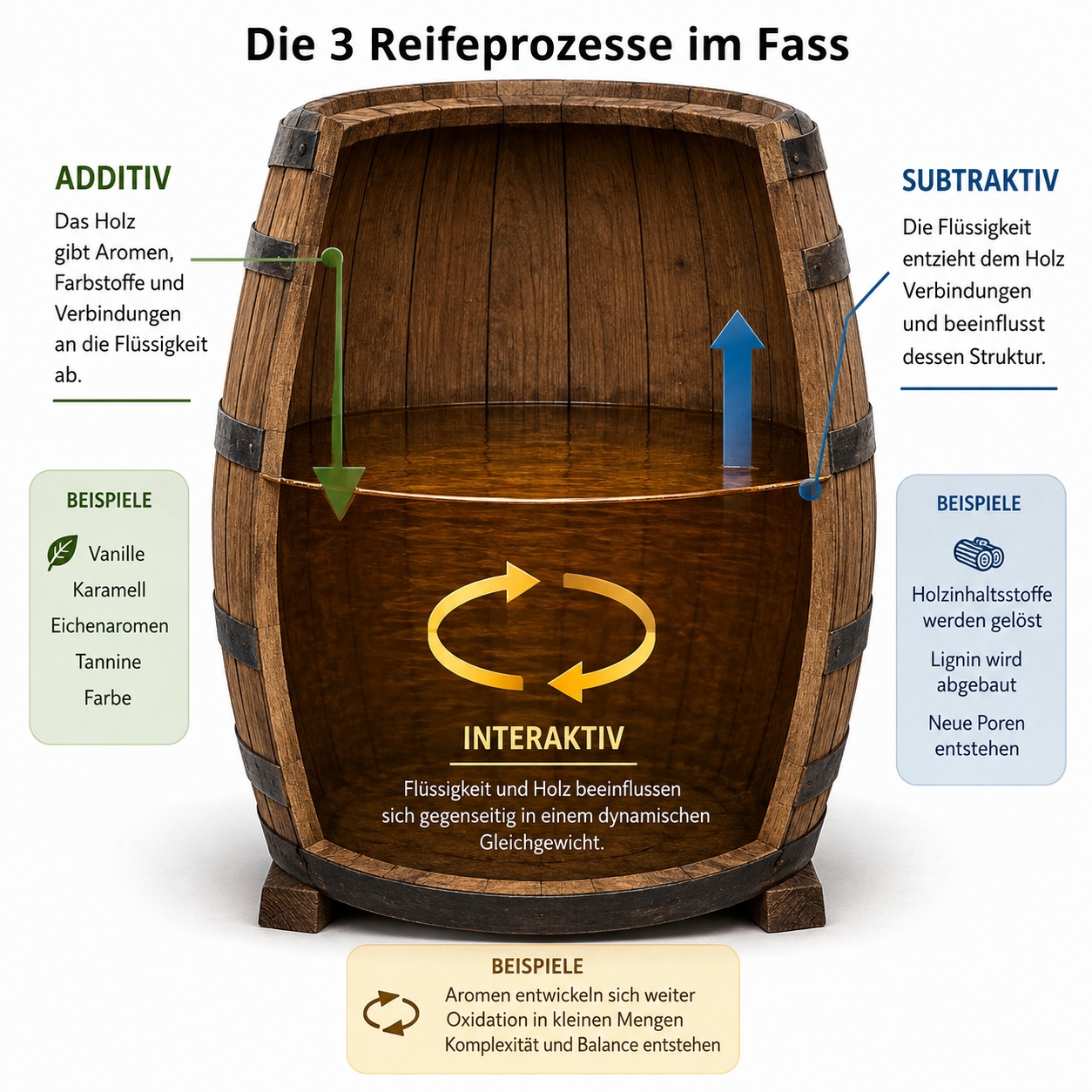 Reifeprozess im Fass