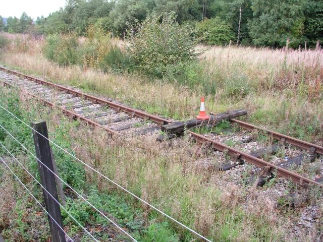 Stillgelegte und überwucherte Bahngleise