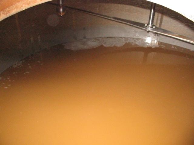 Maische im Maischbottich der Longmorn Distillery