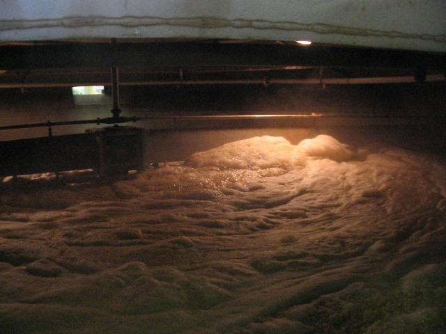 Schaumbildung auf der Maische bei Tomintoul